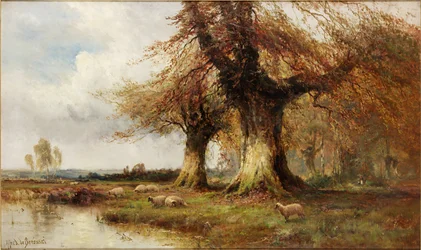 Sentinelle della foresta